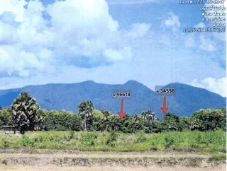 รูปทรัพย์ 2