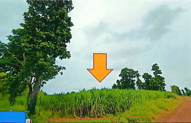 ขายทอดตลาด ที่ดินว่างเปล่า จ.ร้อยเอ็ด