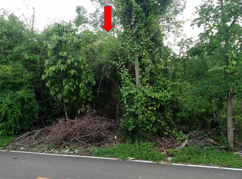 ขายทอดตลาด ที่ดินว่างเปล่า ต.สระนกแก้ว อ.โพนทอง จ.ร้อยเอ็ด