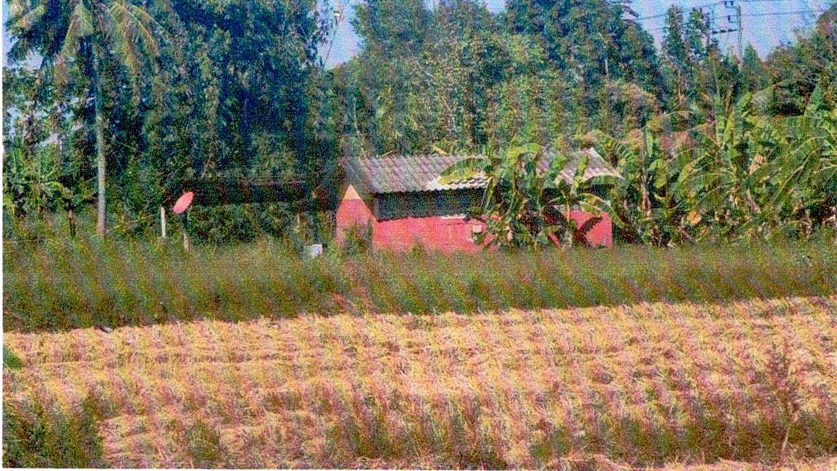 ขายทอดตลาด ที่ดินพร้อมสิ่งปลูกสร้าง ต.ท่าบุญมี อ.เกาะจันทร์ จ.ชลบุรี