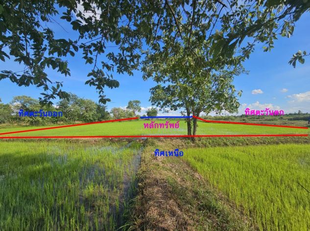 ขายทอดตลาด ที่ดินว่างเปล่า ต.พลับพลา อ.เชียงขวัญ จ.ร้อยเอ็ด