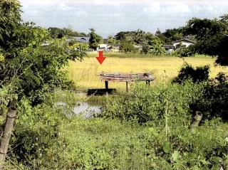 รูปทรัพย์ 1