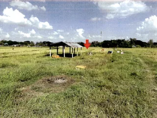 รูปทรัพย์ 2