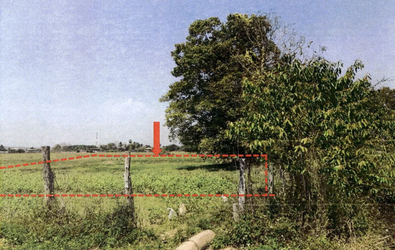 ขายทอดตลาด ที่ดินว่างเปล่า ต.หลวงใต้ อ.งาว จ.ลำปาง