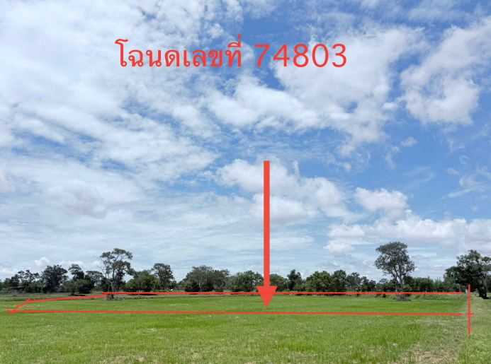 ขายทอดตลาด ที่ดินว่างเปล่า จ.ร้อยเอ็ด