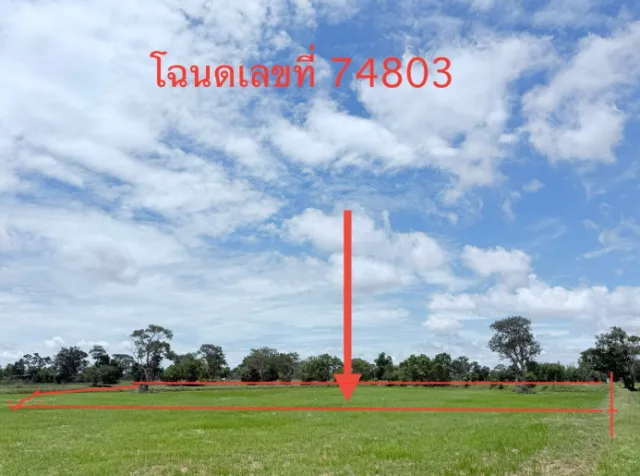 ขายทอดตลาด ที่ดินว่างเปล่า จ.ร้อยเอ็ด