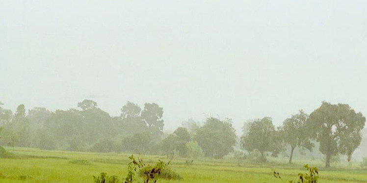 ขายทอดตลาด ที่ดินว่างเปล่า ต.หนองขาม อ.อาจสามารถ จ.ร้อยเอ็ด