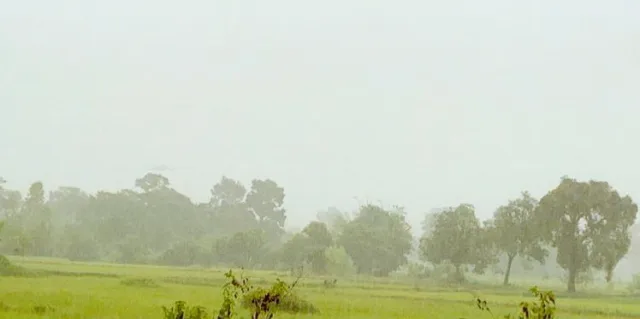 ขายทอดตลาด ที่ดินว่างเปล่า ต.หนองขาม อ.อาจสามารถ จ.ร้อยเอ็ด