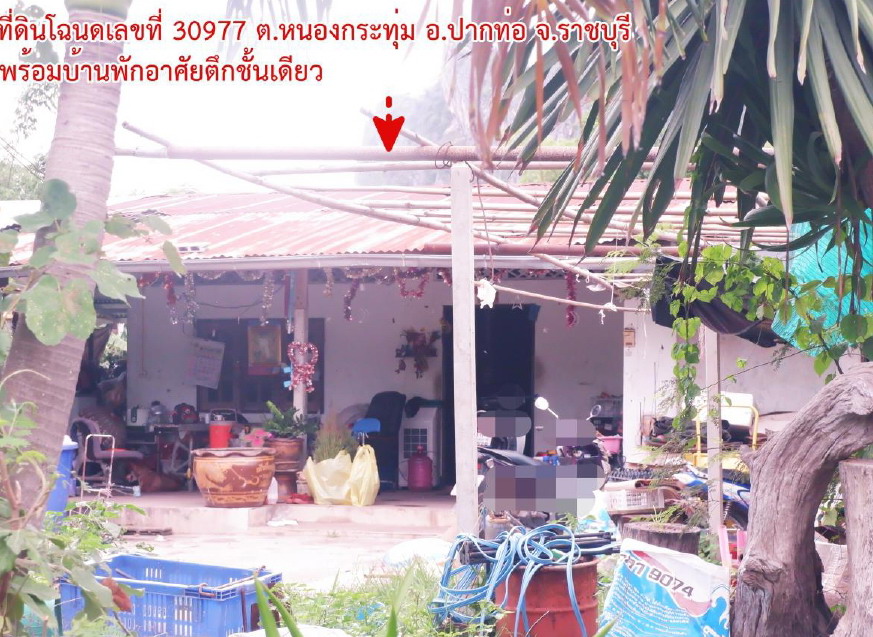ขายทอดตลาด ที่ดินพร้อมสิ่งปลูกสร้าง ต.หนองกระทุ่ม อ.ปากท่อ จ.ราชบุรี