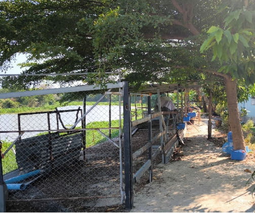 ขายทอดตลาด ที่ดินพร้อมสิ่งปลูกสร้าง ต.เตาปูน อ.โพธาราม จ.ราชบุรี