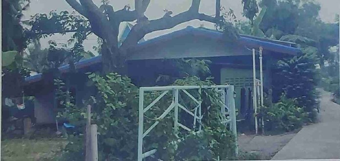 ขายทอดตลาด ที่ดินพร้อมสิ่งปลูกสร้าง ต.ดอนคา อ.บางแพ จ.ราชบุรี