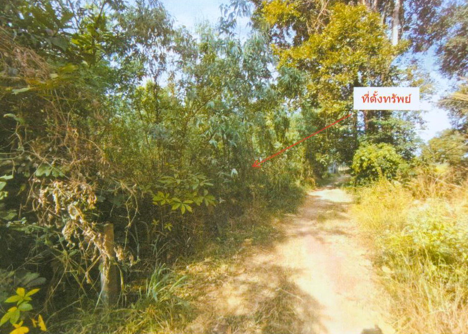ขายทอดตลาด ที่ดินว่างเปล่า ต.วังหลวง อ.เสลภูมิ จ.ร้อยเอ็ด