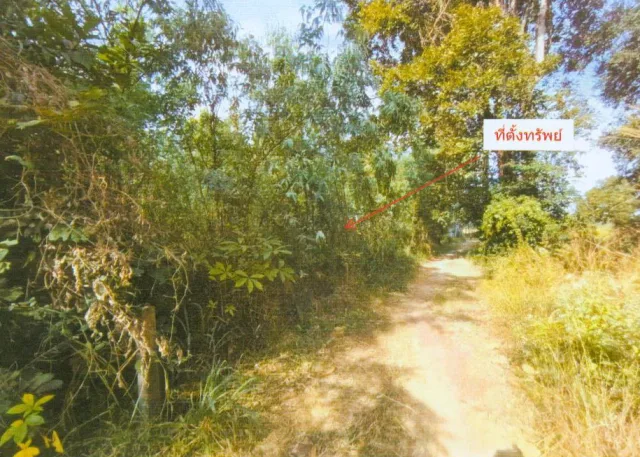 ขายทอดตลาด ที่ดินว่างเปล่า ต.วังหลวง อ.เสลภูมิ จ.ร้อยเอ็ด