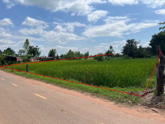 ขายทอดตลาด ที่ดินว่างเปล่า ต.เกาะแก้ว อ.เสลภูมิ จ.ร้อยเอ็ด