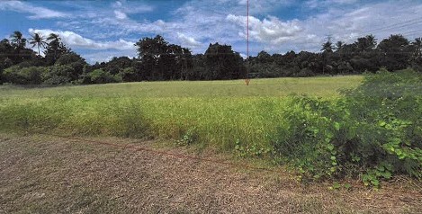 ขายทอดตลาด ที่ดินว่างเปล่า จ.ราชบุรี