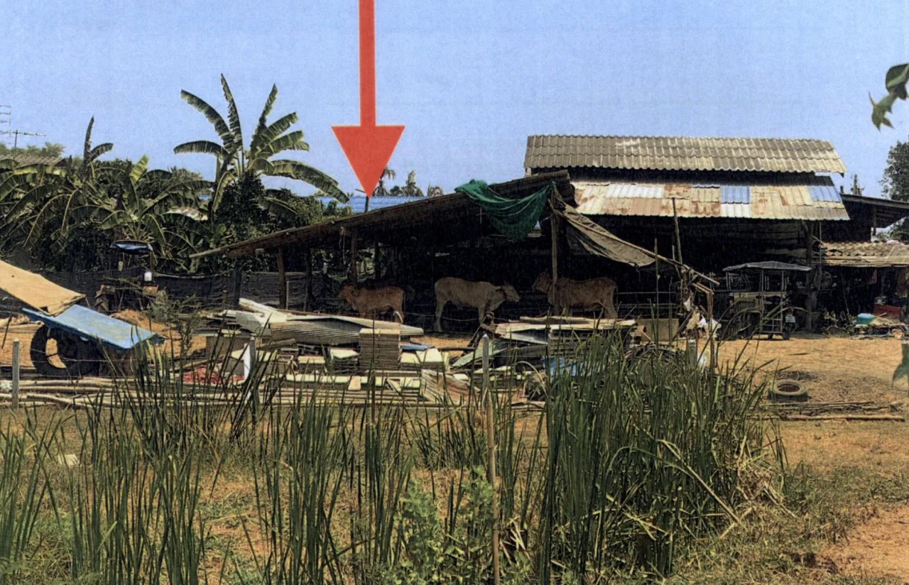 ขายทอดตลาด ที่ดินพร้อมสิ่งปลูกสร้าง ต.เจ็ดเสมียน อ.โพธาราม จ.ราชบุรี