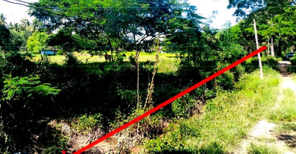 ขายทอดตลาด ที่ดินว่างเปล่า ต.ลำปางหลวง อ.เกาะคา จ.ลำปาง