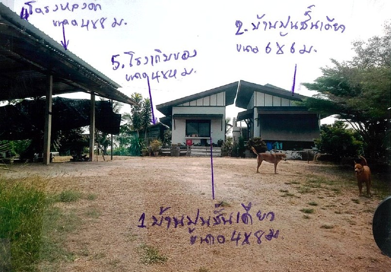 ขายทอดตลาด ที่ดินพร้อมสิ่งปลูกสร้าง ต.คูบัว อ.เมือง จ.ราชบุรี