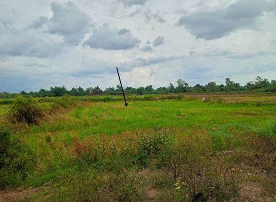 ขายทอดตลาด ที่ดินว่างเปล่า ต.ขวาว อ.เสลภูมิ จ.ร้อยเอ็ด