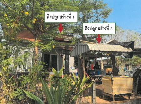 ขายทอดตลาด ที่ดินพร้อมสิ่งปลูกสร้าง ต.กลางหมื่น อ.เมืองกาฬสินธุ์ จ.กาฬสินธุ์
