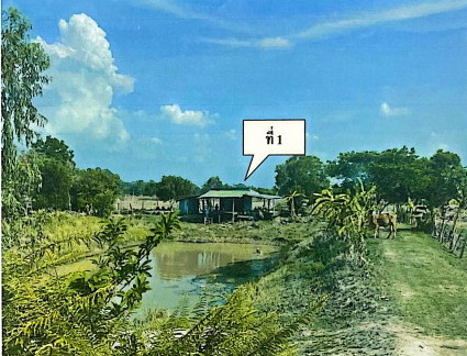 ขายทอดตลาด ที่ดินพร้อมสิ่งปลูกสร้าง ต.ขอนแก่น อ.เมืองร้อยเอ็ด จ.ร้อยเอ็ด
