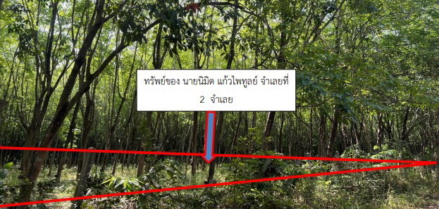 ขายทอดตลาด ที่ดินว่างเปล่า ต.ภูเงิน อ.เสลภูมิ จ.ร้อยเอ็ด