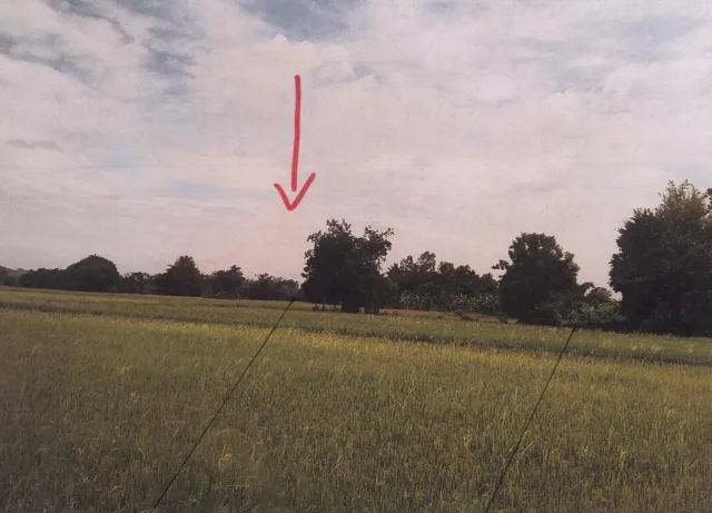 ขายทอดตลาด ที่ดินว่างเปล่า ต.หนองกระทุ่ม อ.ปากท่อ จ.ราชบุรี