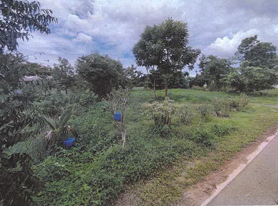 ขายทอดตลาด ที่ดินว่างเปล่า จ.ราชบุรี