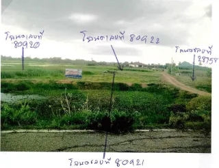 รูปทรัพย์ 1