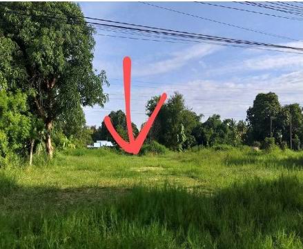 ขายทอดตลาด ที่ดินว่างเปล่า จ.กาฬสินธุ์