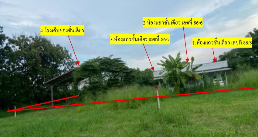 ขายทอดตลาด ที่ดินพร้อมสิ่งปลูกสร้าง ต.บ้านเลือก อ.โพธาราม จ.ราชบุรี