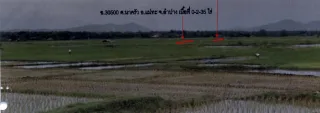 รูปทรัพย์ 2