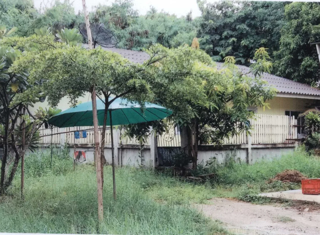 ขายทอดตลาด ที่ดินพร้อมสิ่งปลูกสร้าง ต.วัดแก้ว อ.บางแพ จ.ราชบุรี