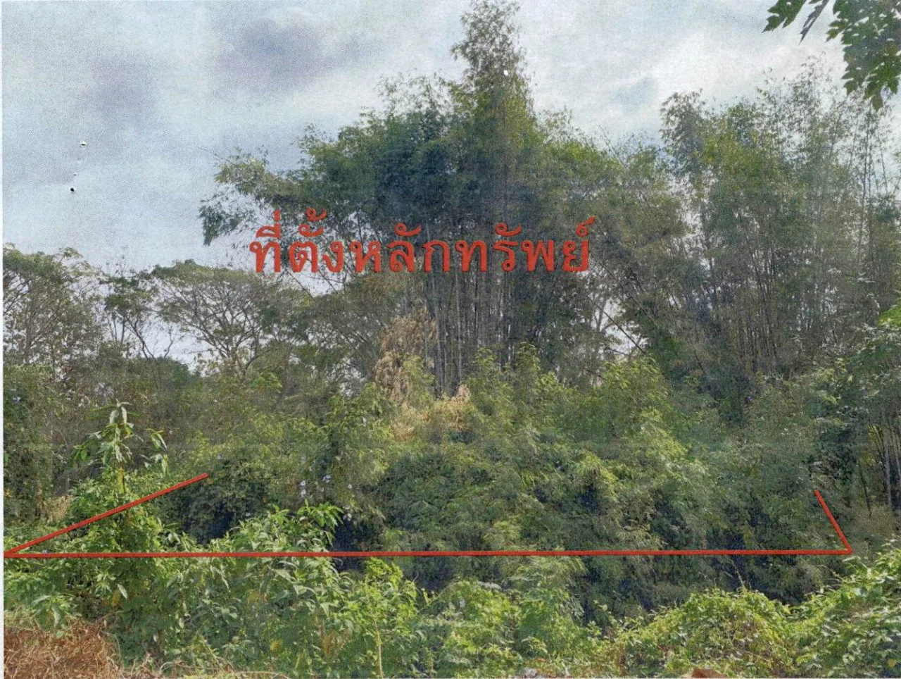 ขายทอดตลาด ที่ดินว่างเปล่า ต.สมัย อ.สบปราบ จ.ลำปาง