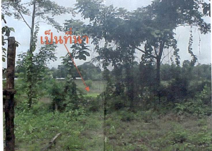 ขายทอดตลาด ที่ดินว่างเปล่า ต.นิคมพัฒนา อ.เมืองลำปาง จ.ลำปาง