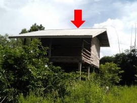 ขายทอดตลาด ที่ดินพร้อมสิ่งปลูกสร้าง ต.ศรีวิลัย อ.เสลภูมิ จ.ร้อยเอ็ด