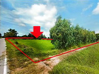 ขายทอดตลาด ที่ดินว่างเปล่า ต.กุดน้ำใส อ.พนมไพร จ.ร้อยเอ็ด