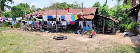 ขายทอดตลาด ที่ดินพร้อมสิ่งปลูกสร้าง ต.โพธิ์ใหญ่ อ.พนมไพร จ.ร้อยเอ็ด