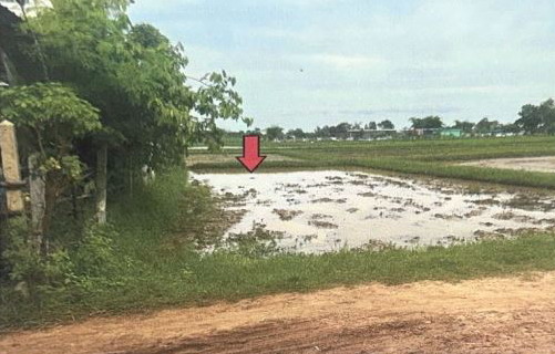ขายทอดตลาด ที่ดินว่างเปล่า จ.ร้อยเอ็ด