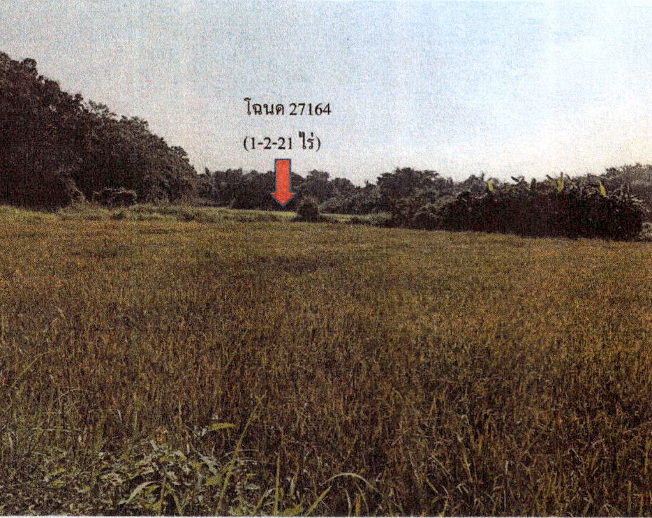 ขายทอดตลาด ที่ดินว่างเปล่า จ.ลำปาง