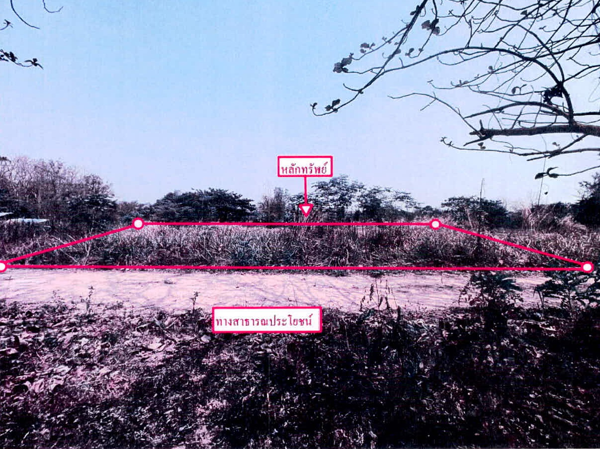 ขายทอดตลาด ที่ดินว่างเปล่า ต.พิชัย อ.เมืองลำปาง จ.ลำปาง