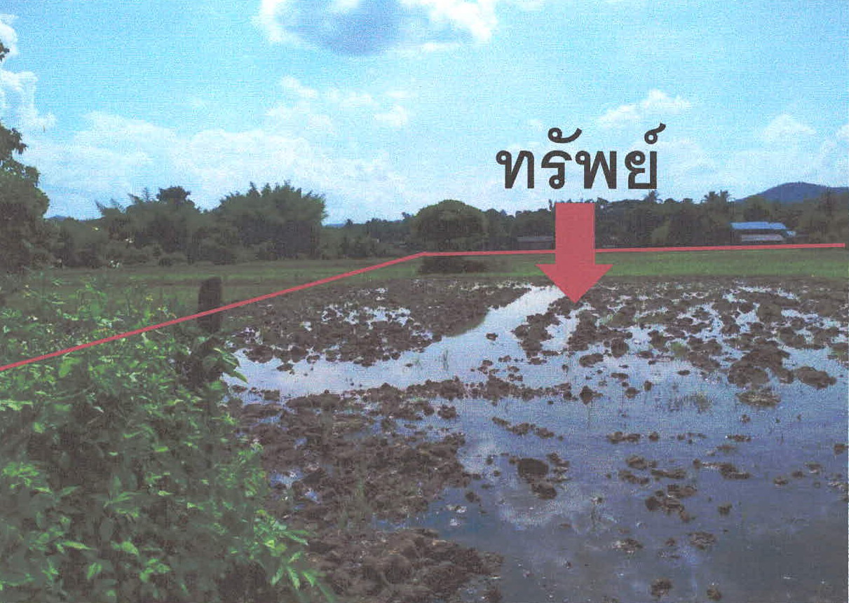 ขายทอดตลาด ที่ดินว่างเปล่า ต.จางเหนือ อ.แม่เมาะ จ.ลำปาง