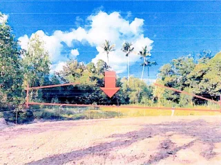 รูปทรัพย์ 1
