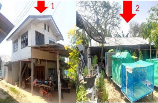 ขายทอดตลาด ที่ดินพร้อมสิ่งปลูกสร้าง ต.หนองผือ อ.จตุรพักตรพิมาน จ.ร้อยเอ็ด