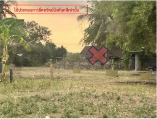 รูปทรัพย์ 2