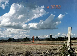 รูปทรัพย์ 2
