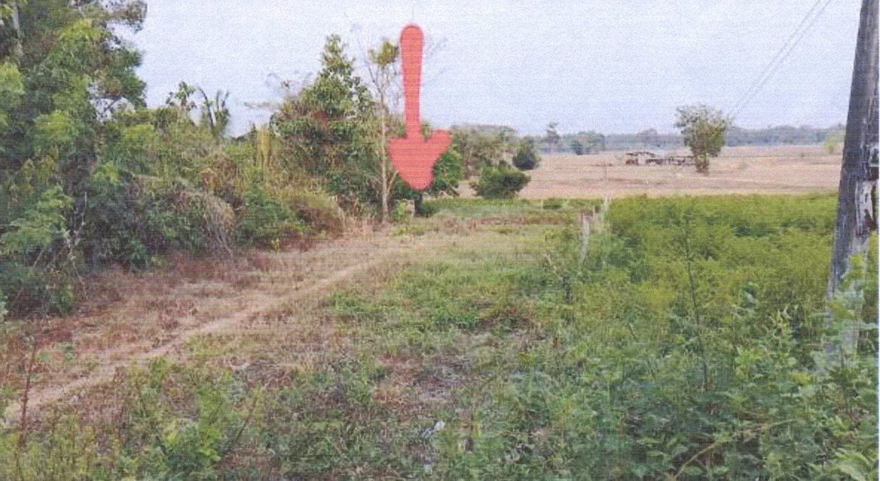 ขายทอดตลาด ที่ดินว่างเปล่า ต.กุดเมืองฮาม อ.ยางชุมน้อย จ.ศรีสะเกษ