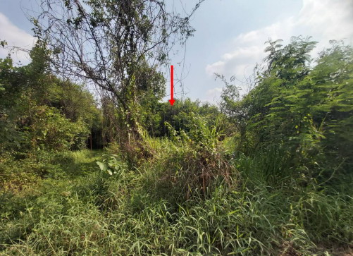 ขายทอดตลาด ที่ดินว่างเปล่า ต.สระนกแก้ว อ.โพนทอง จ.ร้อยเอ็ด