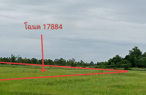 ขายทอดตลาด ที่ดินว่างเปล่า ต.นาใหญ่ อ.สุวรรณภูมิ จ.ร้อยเอ็ด