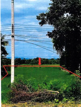 รูปทรัพย์ 2